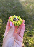 Sunflower Mold