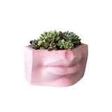 David Lips Planter mold